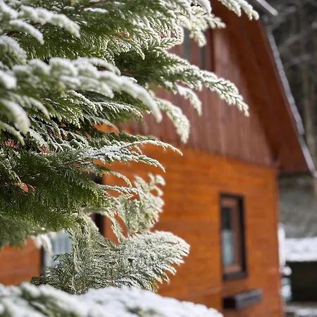 Guest house Frasswirt