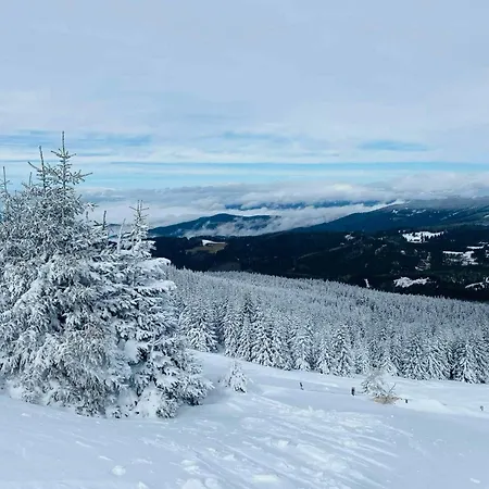 Konukevi Frasswirt *
