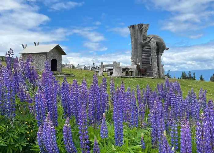 Frasswirt 게스트하우스 *