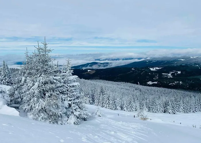 Pensión Frasswirt *