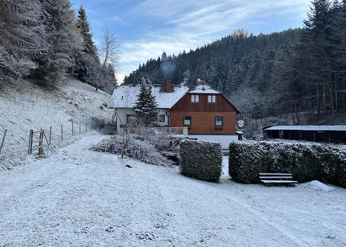 Pensión Frasswirt *