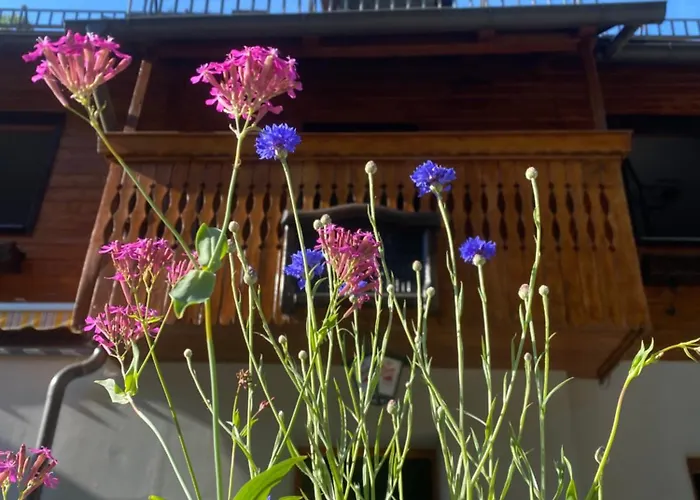 Frasswirt Pensión Frass