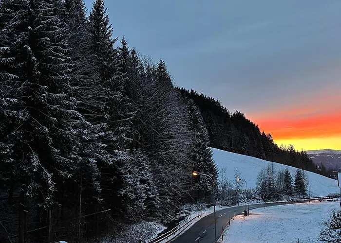 Frasswirt 게스트하우스 *